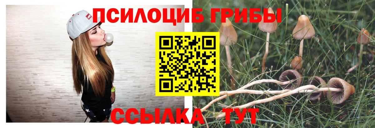 Галлюциногенные грибы мухоморы Сарапул